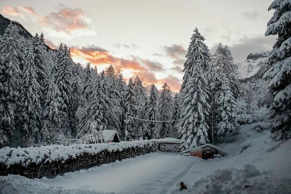 Idyllic Triglav Forest Retreat - Alps, Trails, Lakes, Falls Мойстрана Екстер'єр фото